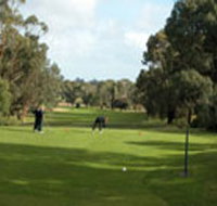 Mount Gambier Golf Club - Hotel QLD