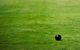 Canberra North Bowling Club - thumb 0