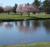 RMC Golf Club - Hotel QLD