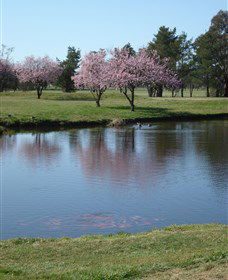 RMC Golf Club - Hotel QLD 0