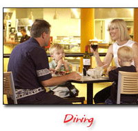 Steelers Club - Hotel QLD