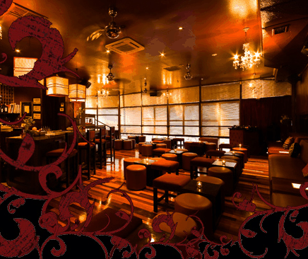 Hippo Lounge Bar - Hotel QLD