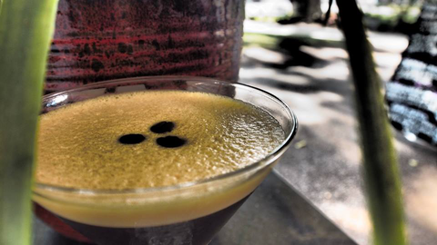 Viva La Vida Wine & Tapas Bar - Hotel QLD 2