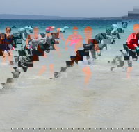 IGA Callala Triathlon Festival