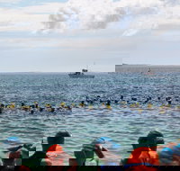 Nowra Toyota triHusky Huskisson Triathlon Festival Little Husky - Hotel QLD