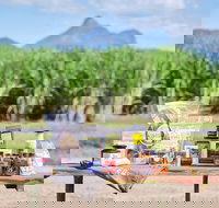 Taste Tweed - Hotel QLD