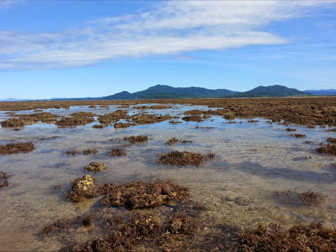 Walk To The Reef - Hotel QLD 0