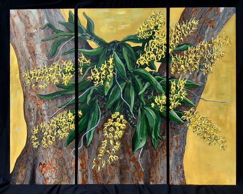 A Still Life - Solo Exhibition  Karen Sedaitis - Hotel QLD 1