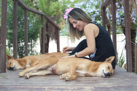 Dingo Den Discovery Experience - Hotel QLD 0