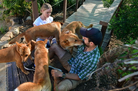 Dingo Den Discovery Experience - Hotel QLD 1