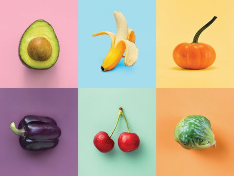 Food For Thought: Alternative Food Sources - Hotel QLD 0