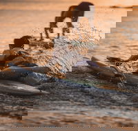 The Bay Games - Jervis Bay - Hotel QLD