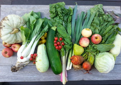 Wingham Farmers Market - Hotel QLD 0