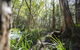 Bottlebutt Bash Trail Run - thumb 0