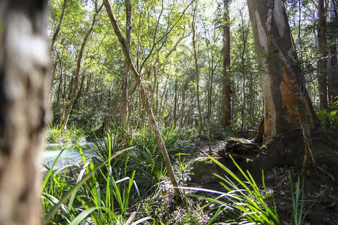 Bottlebutt Bash Trail Run - Hotel QLD 0
