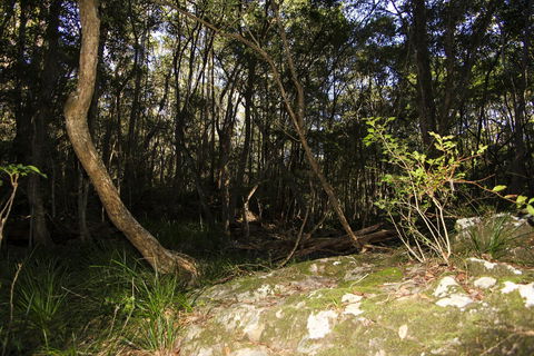Bottlebutt Bash Trail Run - Hotel QLD 1