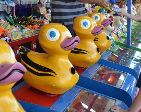 Casino Agricultural Show - Hotel QLD 0