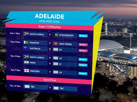 ICC Men's T20 World Cup - Semi-Final - Hotel QLD 1