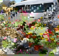Johns River Country Markets - Hotel QLD