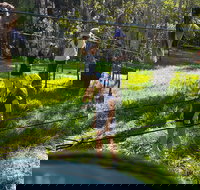 July 2020 Holidays- Forest Smores  Explore