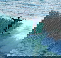 Port Stephens Surf Festival - Hotel QLD