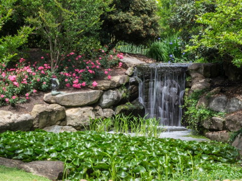 Spring Time At Hunter Valley Gardens - Hotel QLD 1