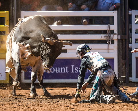 The 2020 Virtual Mount Isa Mines Rodeo - Hotel QLD 2