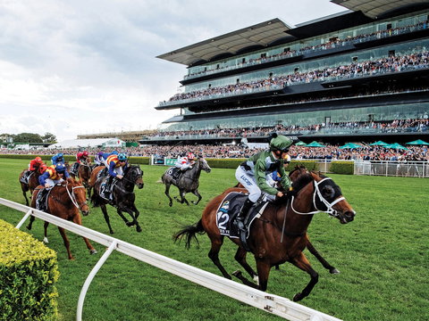 The Everest - Hotel QLD 0