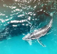 Ningaloo Lodge Exmouth - Hotel QLD