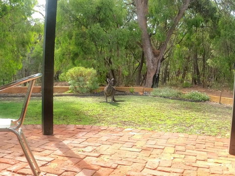 Yallingup Pet Friendly Bush Retreat - Hotel QLD 5