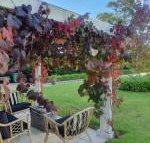 The Cottage - Hotel QLD