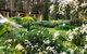 Naturescape - thumb 4