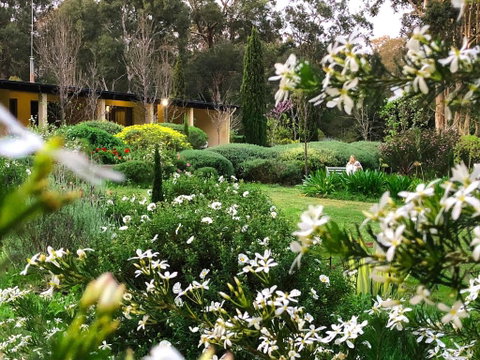 Naturescape - Hotel QLD 4