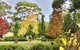 Naturescape - thumb 5