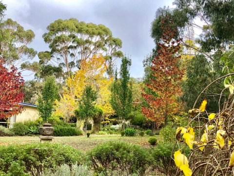 Naturescape - Hotel QLD 5
