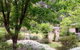 Naturescape - thumb 0