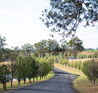 voco Kirkton Park Hunter Valley  an IHG Hotel - Hotel QLD
