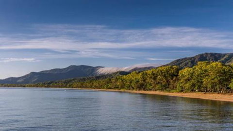 RED COWRIE 321atPALM COVE - Hotel QLD 3