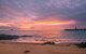 RED COWRIE 321atPALM COVE - thumb 5