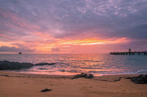 RED COWRIE 321atPALM COVE - Hotel QLD 5