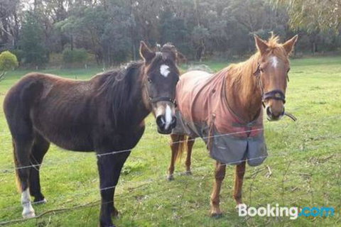 Heritage Bed & Breakfast - Hotel QLD 3