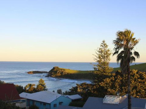 WHALE WATCH FOR FOUR Gerringong 4pm Check Out Sundays - Hotel QLD 3