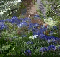 Yallambee - Hotel QLD