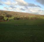 Mancuso Country Cottage Retreat - Hotel QLD