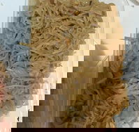 Quick Thai Restaurant - Hotel QLD