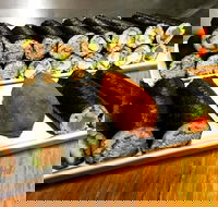 Freewave Sushi  Burgers - Hotel QLD