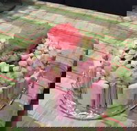 Moruya Ice Cream Parlour - Hotel QLD