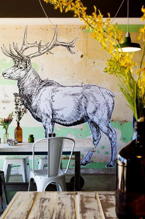 Elk Espresso - Hotel QLD 0