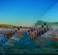 Eastern Peake Winery - Hotel QLD