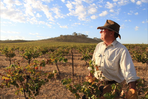Sally's Paddock At Redbank Winery - Hotel QLD 2